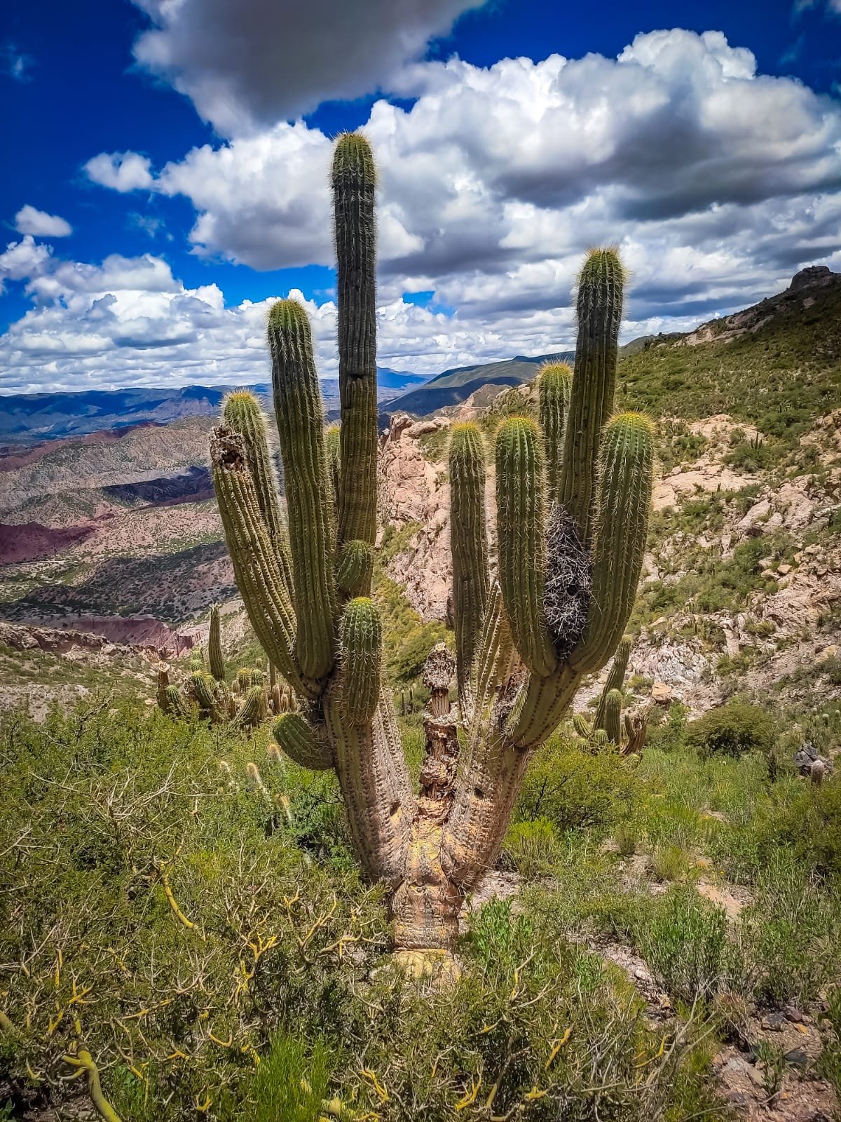 destination_file6a35563f5c57c-WhatsApp-Image-2026-06-18-at-6.04.46-PM--3-.jpeg