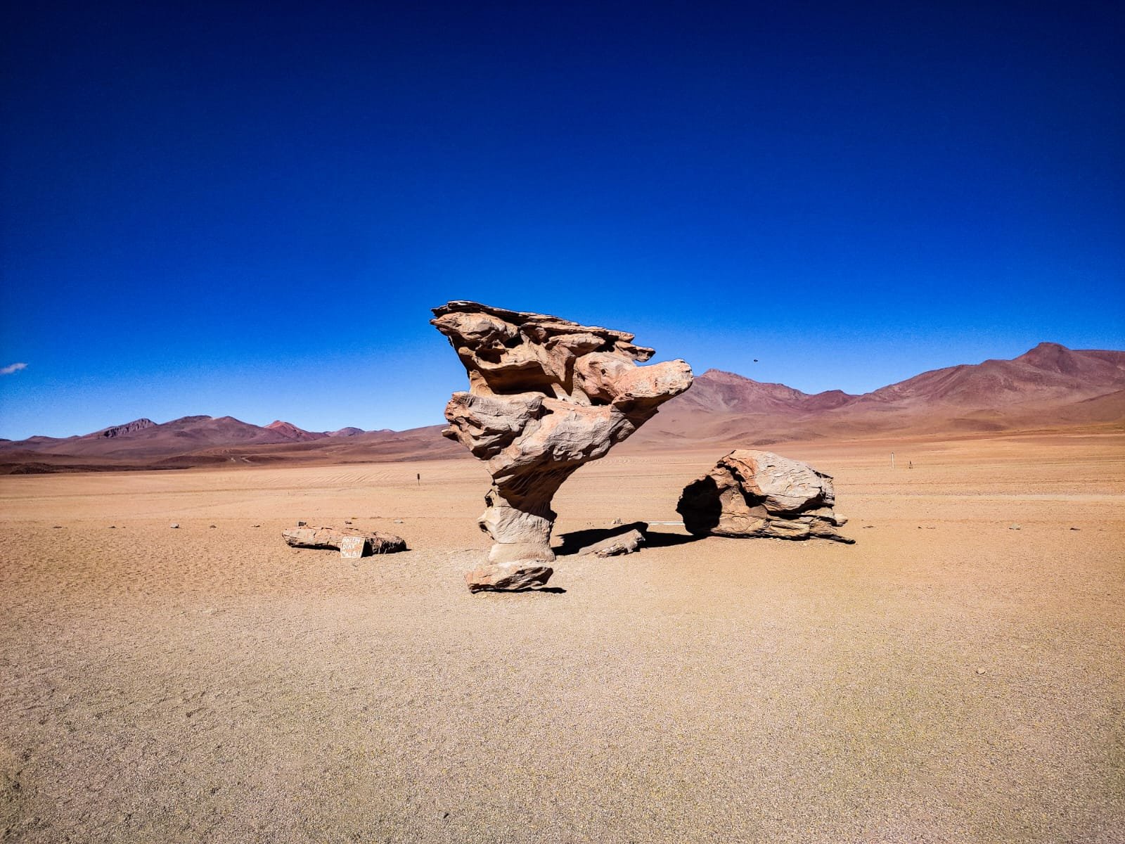 destination_file6a3556520c3b4-WhatsApp-Image-2026-06-18-at-6.04.45-PM.jpeg