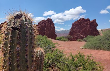 LEGADO DEL ALTIPLANO Expedición Tupiza a Uyuni – 4 Días / 3 Noches